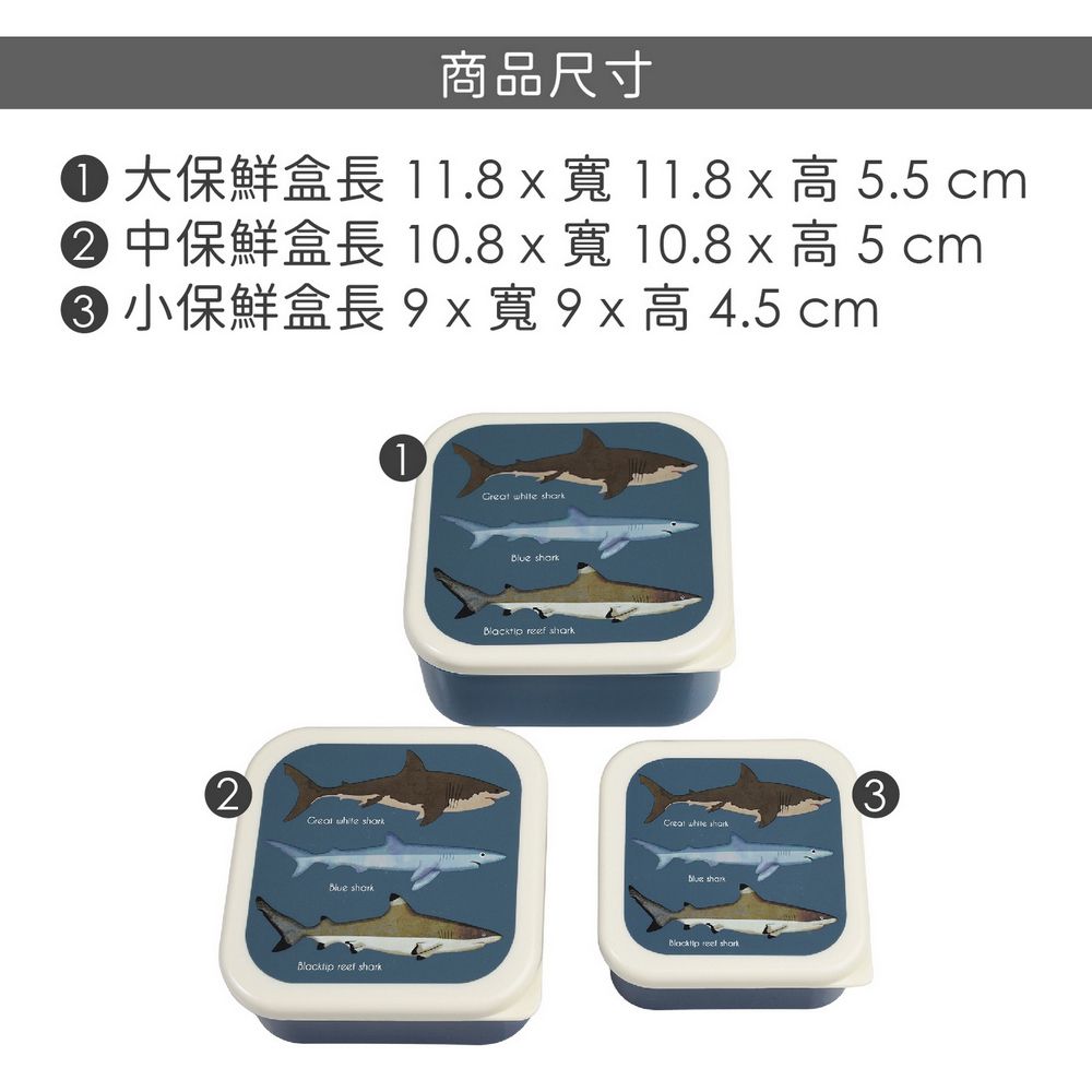 Rex LONDON 英國 堆疊PP保鮮盒3件(鯊魚圖鑑) / 收納盒 環保餐盒 便當盒 野餐 可機洗 洗碗機可洗