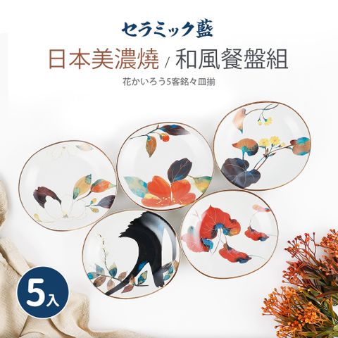 【日本美濃燒】和風五入餐盤組(16.2×2.7cm)