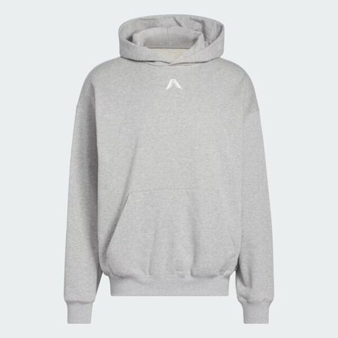 adidas 愛迪達 Adidas Anted Gfx Hoody JY3974 男 連帽上衣 帽t 長袖 灰白 亞版