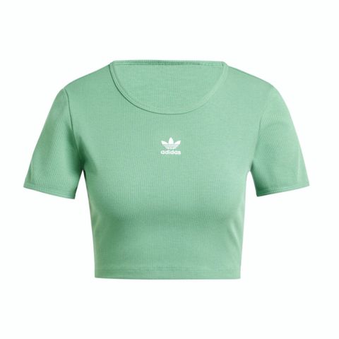 adidas Originals Adidas ESS RIB Tee [IY9665] 女 短版 短袖 上衣 休閒 三葉草 修身 羅紋 棉質 綠