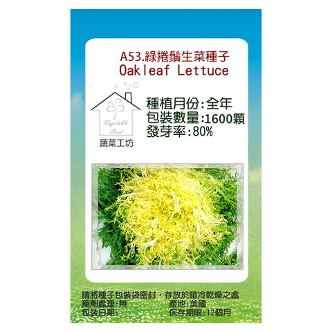 【蔬菜工坊】A53.綠捲鬚生菜種子