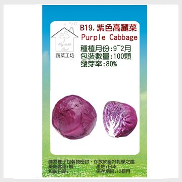 【蔬菜工坊】B19.紫色高麗菜種子
