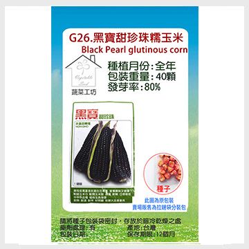 G26.黑寶甜珍珠糯玉米種子