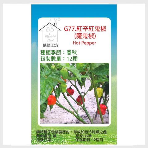 【蔬菜工坊】G77.紅辛紅鬼椒(魔鬼椒)種子12顆