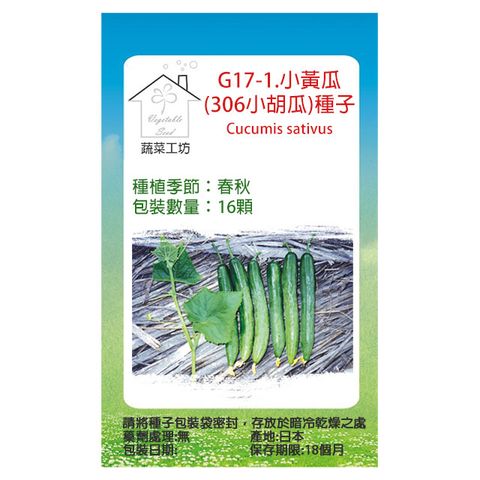 G17-1.小黃瓜(306小胡瓜)種子16顆
