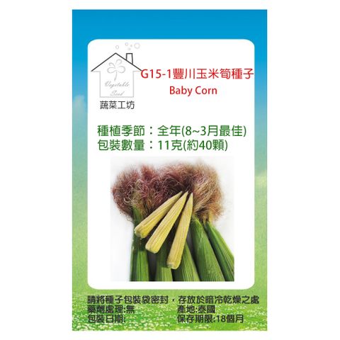 【蔬菜工坊】G15-1.豐川玉米筍種子11克(約40顆)