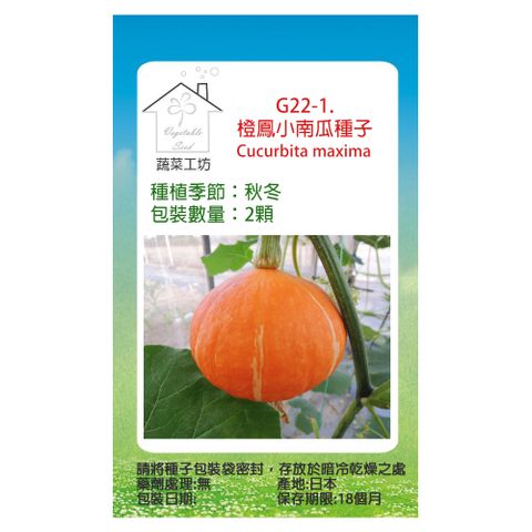 蔬菜工坊 G22-1.橙鳳小南瓜種子2顆