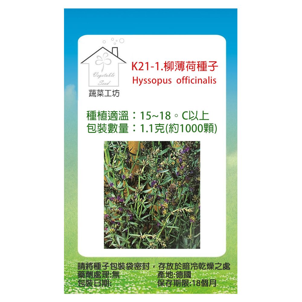 蔬菜工坊 K21-1.柳薄荷種子(神香草.海壽花)1.1克(約1000顆)