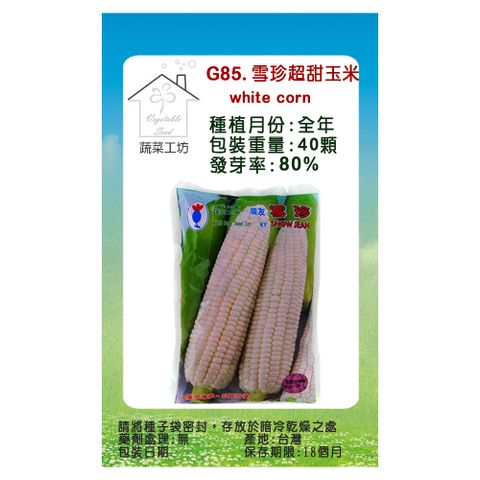 【蔬菜工坊】G85.雪珍超甜玉米(純白色牛奶玉米)種子