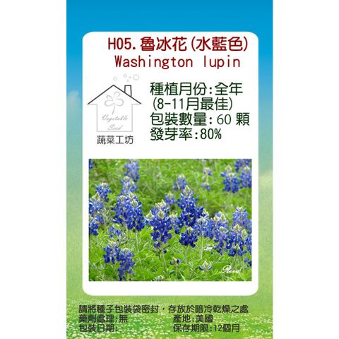 蔬菜工坊 H05.魯冰花(水藍色)種子