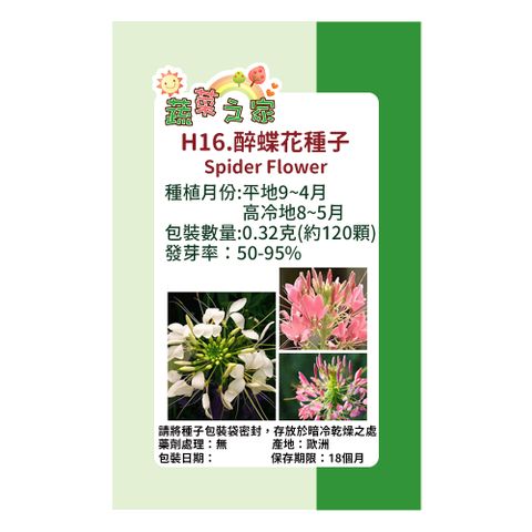 蔬菜工坊 H16.醉蝶花(混合色高100cm以上)種子