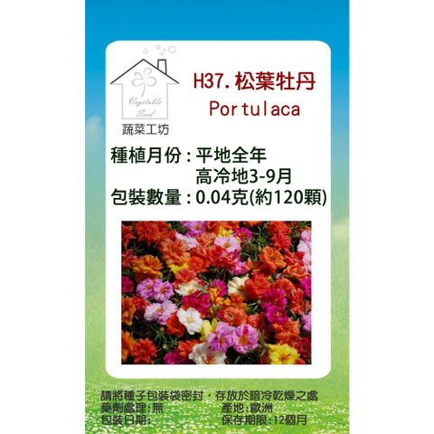 【蔬菜工坊】H37.松葉牡丹(混合色，匍匐性)種子