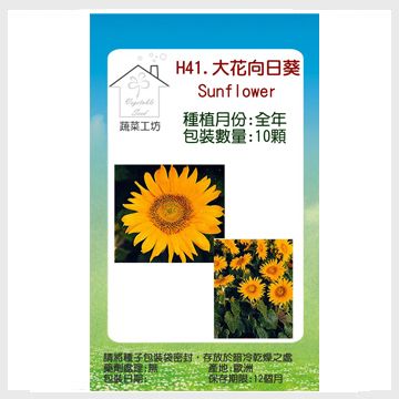 【蔬菜工坊】H41.大花向日葵種子