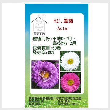 蔬菜工坊 H21.翠菊(蜜蕾混合色高25cm)種子