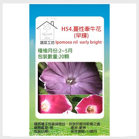 【蔬菜工坊】H54.蔓性牽牛花種子(早輝)20顆