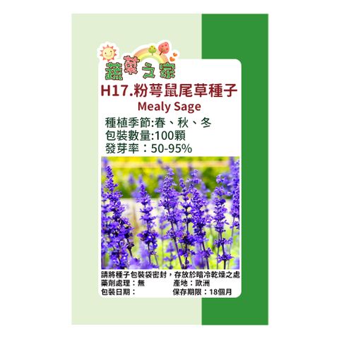 H17.粉萼鼠尾草種子