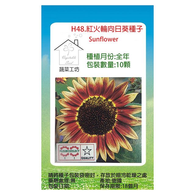 H48.紅火輪向日葵種子- PChome 24h購物