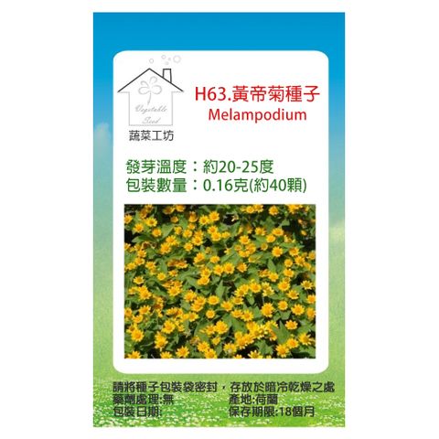 蔬菜工坊 H63.黃帝菊種子(金星)