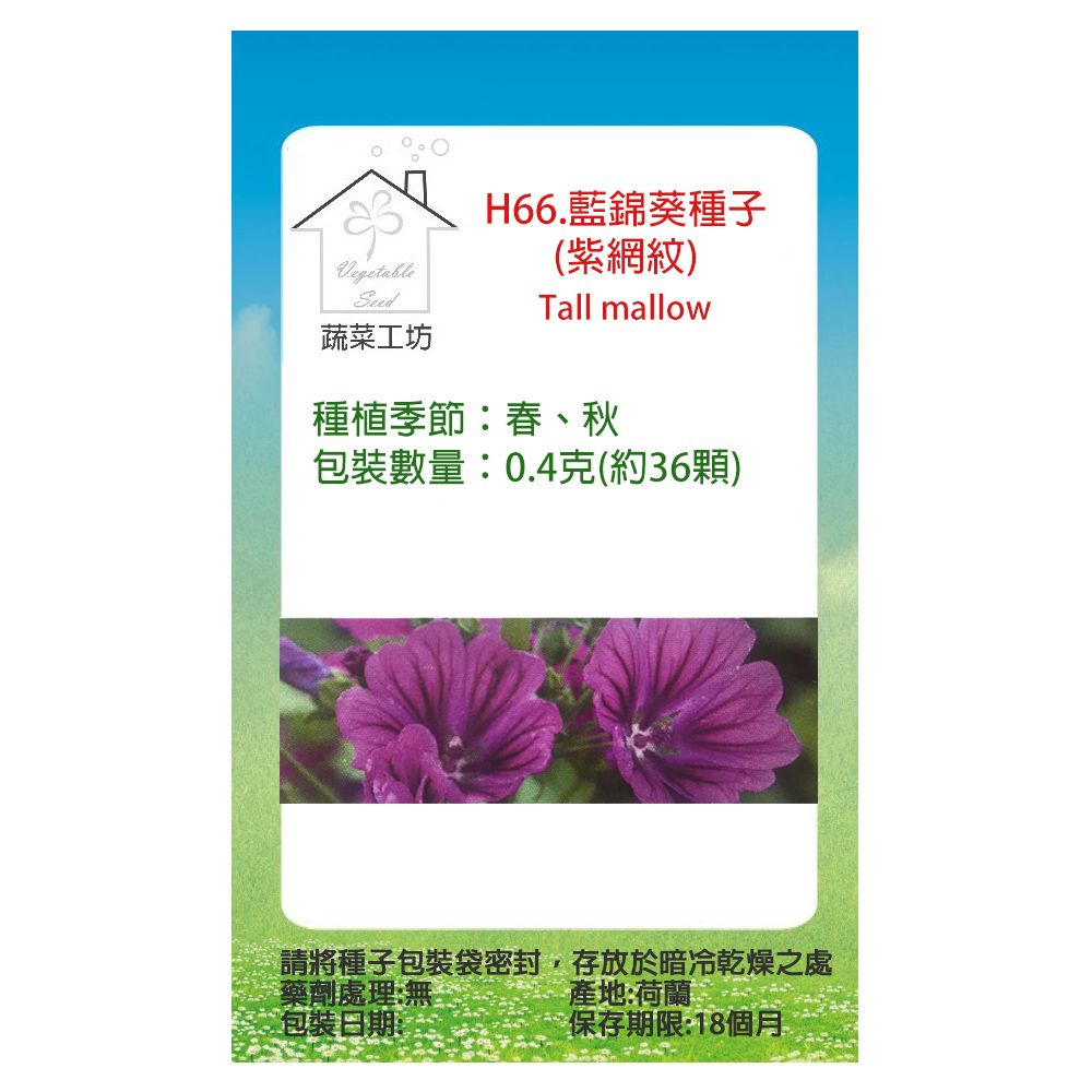 蔬菜工坊 H66.藍錦葵種子(紫網紋)