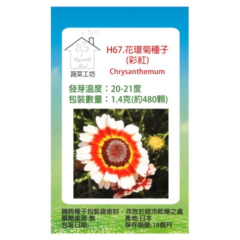 蔬菜工坊 H67.花環菊種子(彩紅)