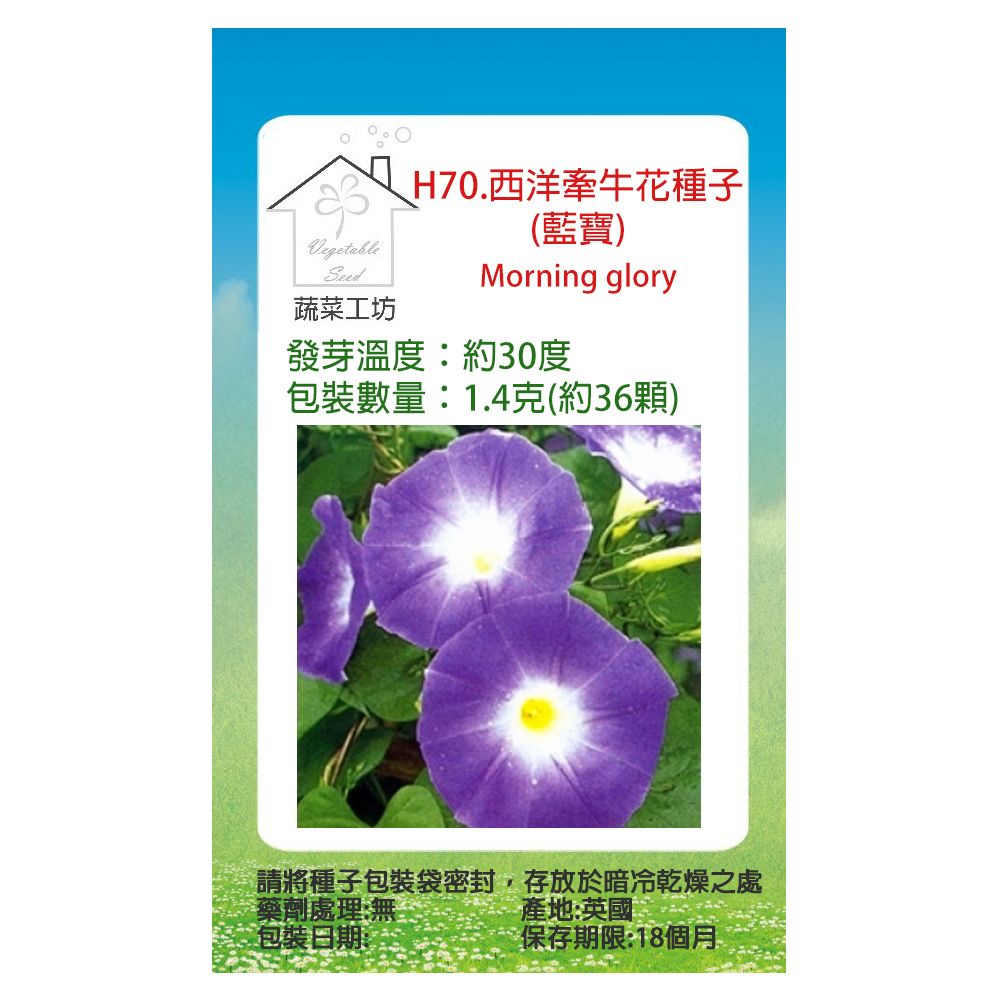 蔬菜工坊 H70.西洋牽牛花種子(藍寶)