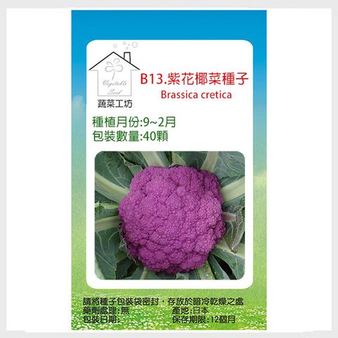 【蔬菜工坊】B13.紫花椰菜種子40顆
