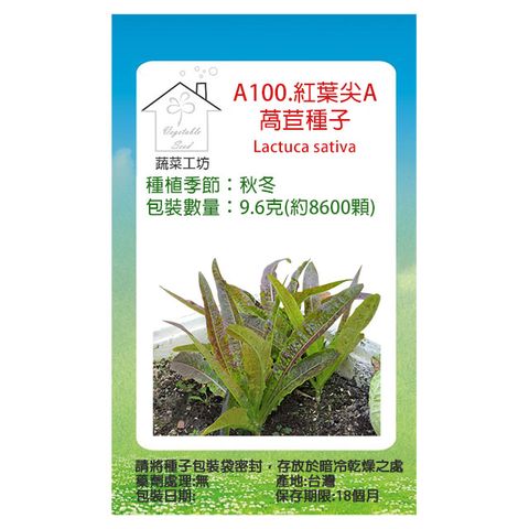 蔬菜工坊 A100.紅葉尖A萵苣種子9.6克(約8600顆)