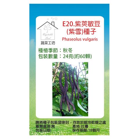 【蔬菜工坊】E20.紫莢敏豆(紫雪)種子24克(約60顆)
