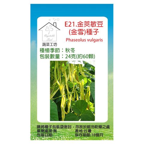 【蔬菜工坊】E21.金莢敏豆(金雪)種子24克(約60顆)