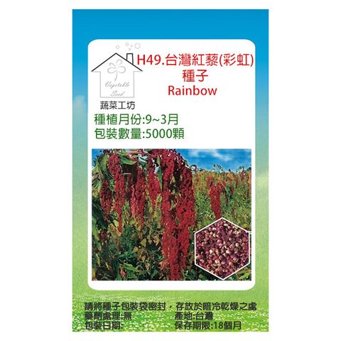 H49.台灣紅藜(彩虹)種子 (未脫殼)