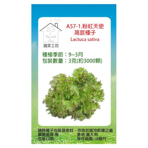 蔬菜工坊 A57-1.粉紅天使萵苣種子3克(約3000顆)