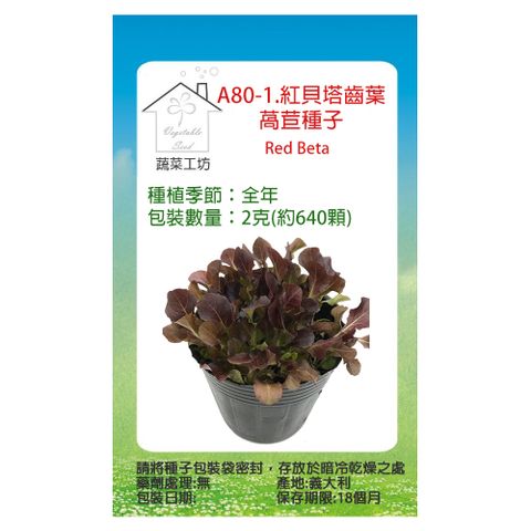 【蔬菜工坊】A80-1.紅貝塔齒葉萵苣種子2克(約640顆)寶貝菜.貝比生菜