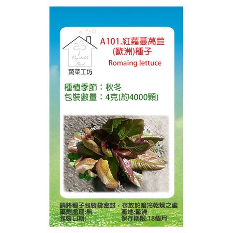 【蔬菜工坊】A101.紅蘿蔓萵苣(歐洲)種子