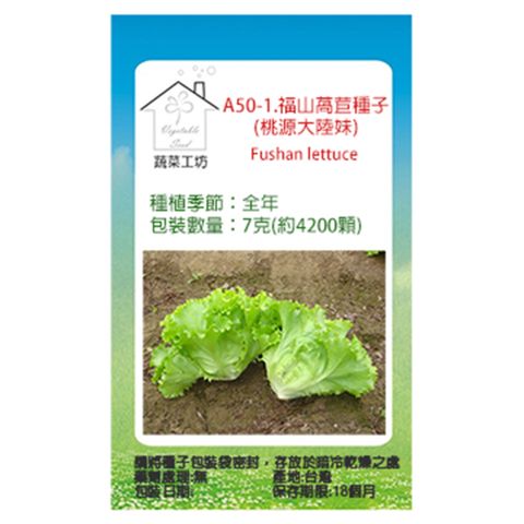 【蔬菜工坊】A50-1.福山萵苣種子(桃源大陸妹)