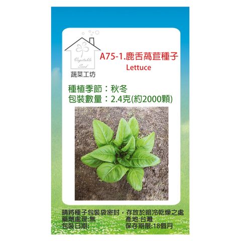 【蔬菜工坊】A75-1.鹿舌萵苣種子4.4克(約3600顆)