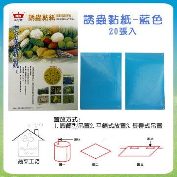 【蔬菜工坊】誘蟲黏紙-藍色20張入