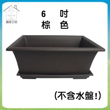 【蔬菜工坊】中興6寸長方盆 棕色