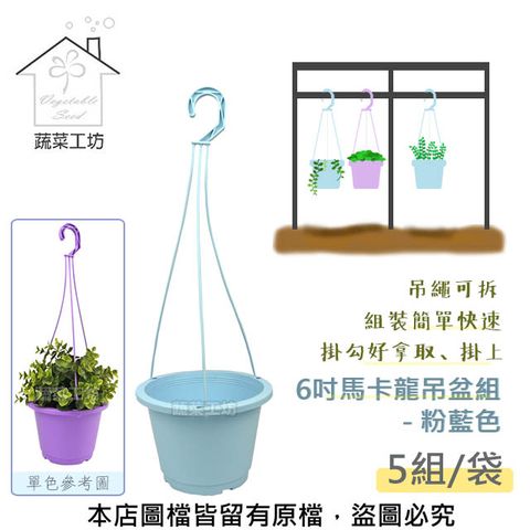 蔬菜工坊 6吋馬卡龍吊盆組-粉藍色 *5組/袋