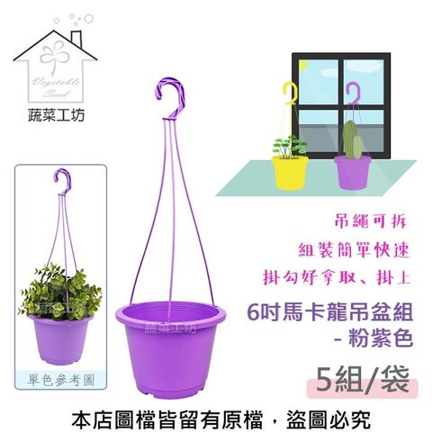 蔬菜工坊 6吋馬卡龍吊盆組-粉紫色 *5組/袋