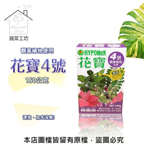 蔬菜工坊 花寶4號150公克