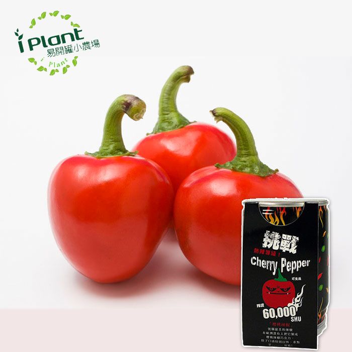 Plant易開罐小農場Plant挑戰Cherry Pepper60,000SUH