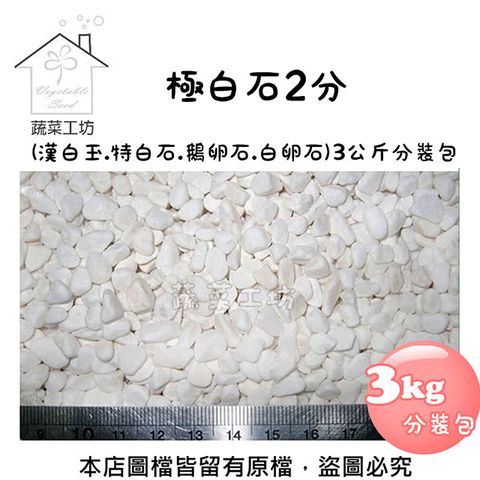 蔬菜工坊 極白石2分(漢白玉.特白石.鵝卵石.白卵石)3公斤分裝包