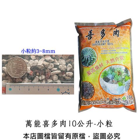 蔬菜工坊 萬能喜多肉10公升-小粒