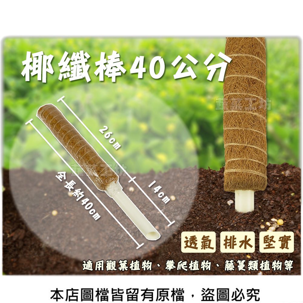 蔬菜工坊 椰纖棒 40公分(可串接式)(塑膠中柱防霉)攀爬類植物.水苔棒.椰纖柱.椰棒