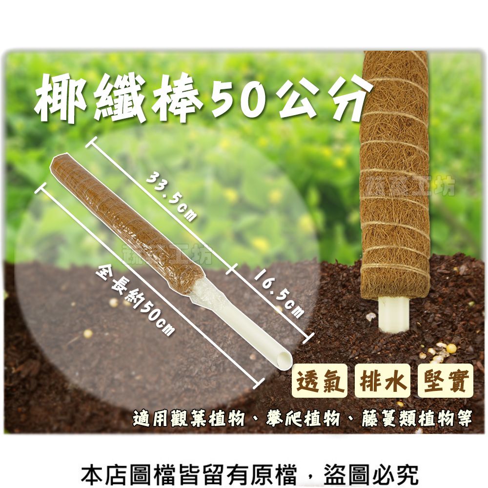 蔬菜工坊 椰纖棒 50公分(可串接式)(塑膠中柱防霉)攀爬類植物.水苔棒.椰纖柱.椰棒
