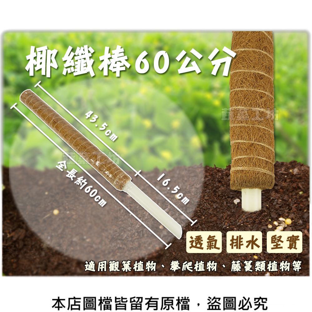 蔬菜工坊 椰纖棒 60公分(可串接式)(塑膠中柱防霉)攀爬類植物.水苔棒.椰纖柱.椰棒