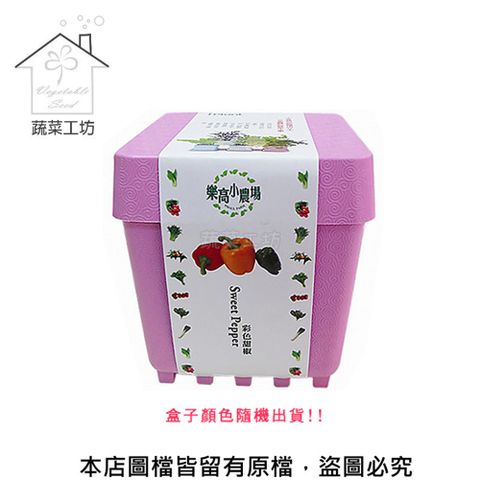 蔬菜工坊 iPlant小農場系列-彩色甜椒