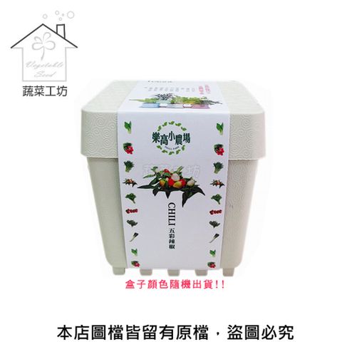 蔬菜工坊 iPlant小農場系列-五彩辣椒