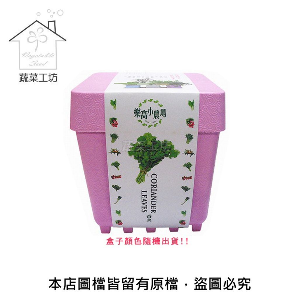 蔬菜工坊 iPlant小農場系列-香菜