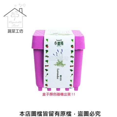 iPlant 小農場系列-薰衣草